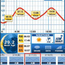 ホームでのライトゲーム