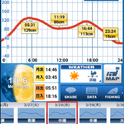 くろねこさんとライトゲーム in 林崎漁港