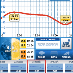 久々のライトゲーム