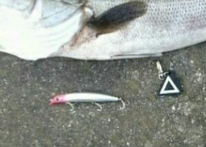 やりました！  Big  – 1