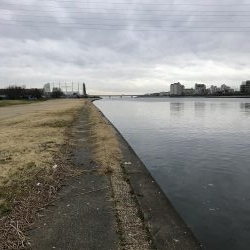 武庫川河口ライトゲーム