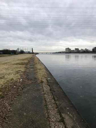 武庫川河口ライトゲーム