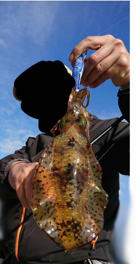 仲間とエギング