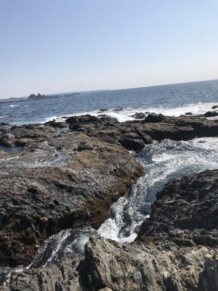 南紀エギングでアオリイカ