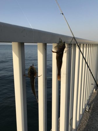 サイズが、、、