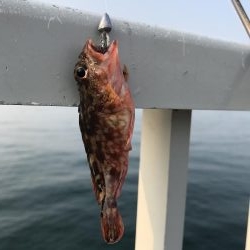 アナハゼ も楽しい！