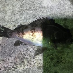 マイクロワインド