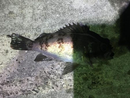 マイクロワインド