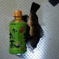 ボートメバリング