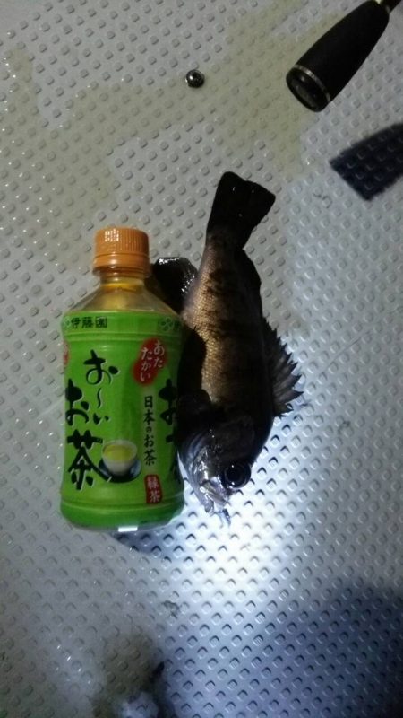 ボートメバリング