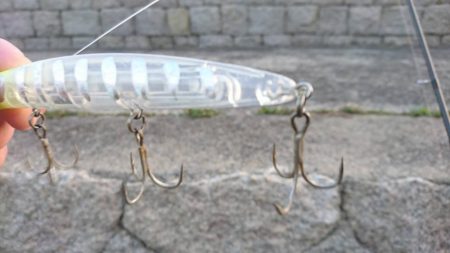 春一番、その後に！