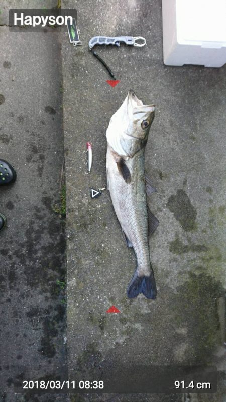 やりました! Big – 1