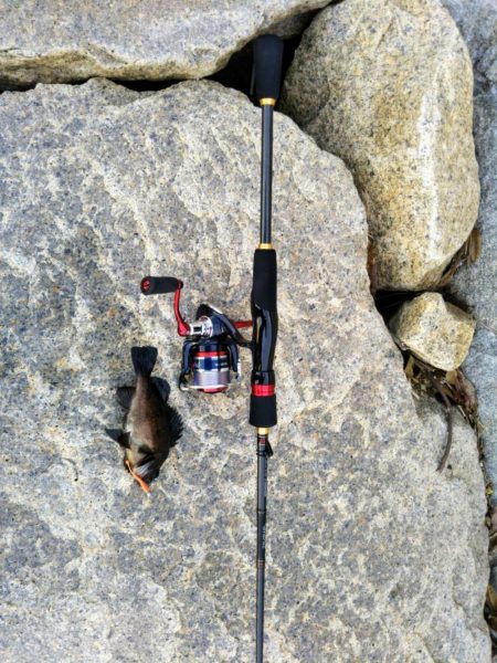 デイメバリング