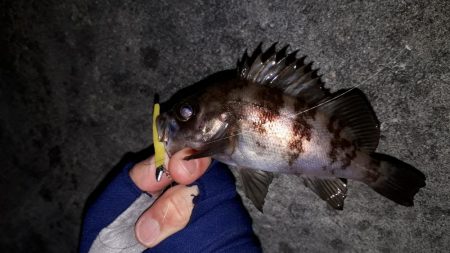 ちょっくら確認！