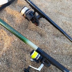 花見カレイ狙いで…。