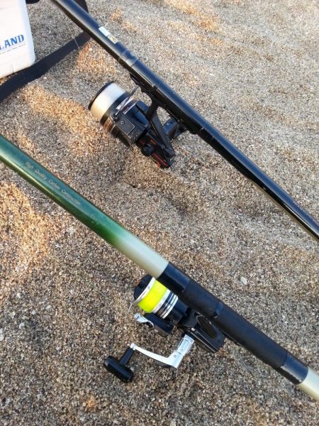 花見カレイ狙いで…。