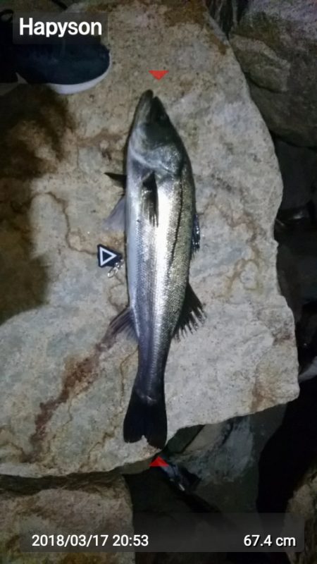 アフターシーバス