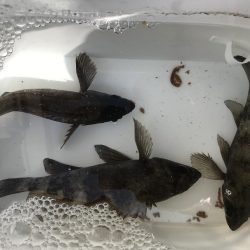 寒かったです！