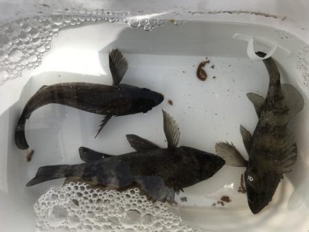 寒かったです！