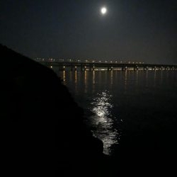 平日深夜のメバリング