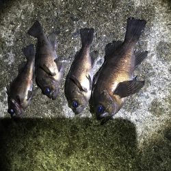 思い通りには・・・