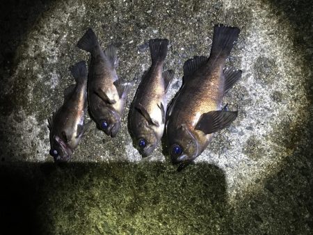 思い通りには・・・