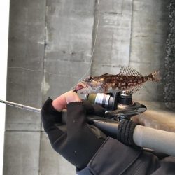 神戸ライトゲーム