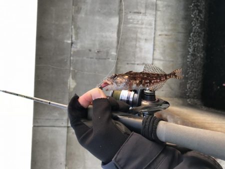 神戸ライトゲーム