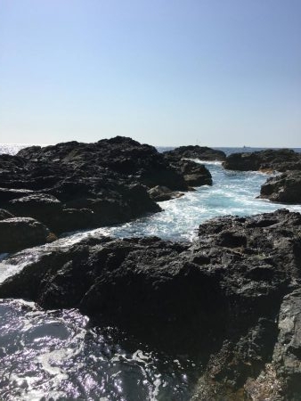 春イカ狙ってきました。