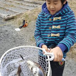 アクアヘブンで大型レインボーと大型イワナ