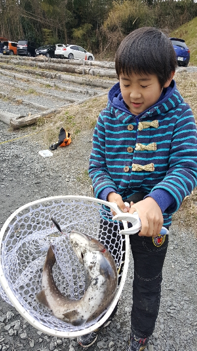 アクアヘブンで大型レインボーと大型イワナ