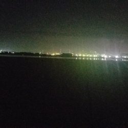 ガシラ釣り ~タチウオいません~