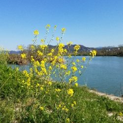 淡水小物釣り ~まだ活性低いかな~