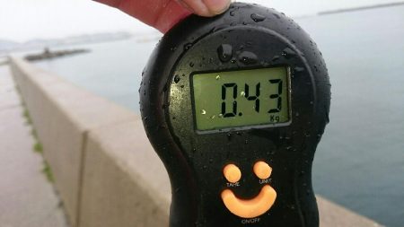 太刀魚からのぉ墨野郎