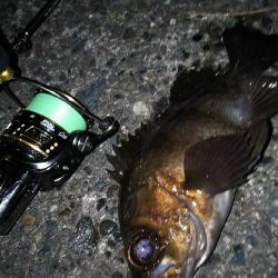 好調メバリング！( ￣▽￣)