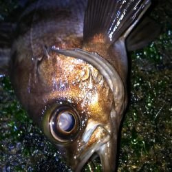 安定のポイントへ