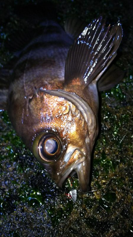 安定のポイントへ