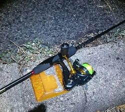 気配はあるが…