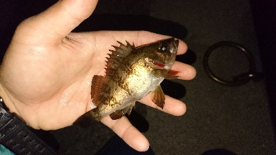 有田ランガン 2