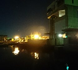 カサゴ３匹(*￣∇￣)ノ