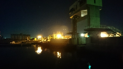 カサゴ３匹(*￣∇￣)ノ