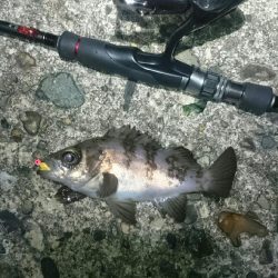 期待していたけど