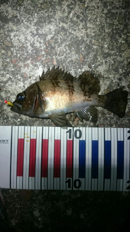 フロートメバリング