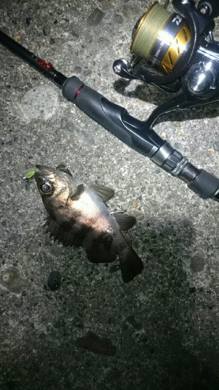 ショートバイト