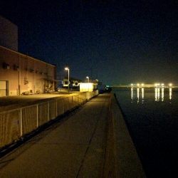 満月メバルはリアクションバイトで…