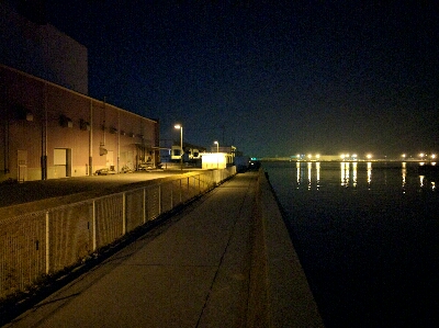 満月メバルはリアクションバイトで…