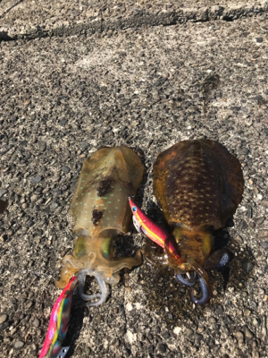 パタパタWヒット