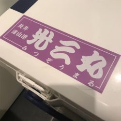 横須賀長井漆山港の光三丸さんからヤリイカ