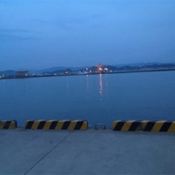 温かい春ですな