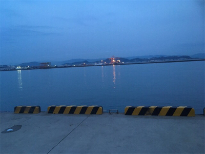 温かい春ですな